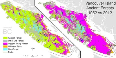 Vancouver ısland taç arazi göster 