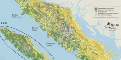 Yağmur vancouver ısland göster