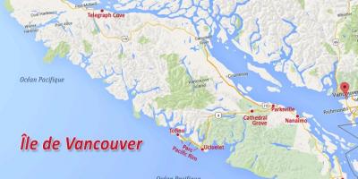Vancouver Adası altın harita iddia 